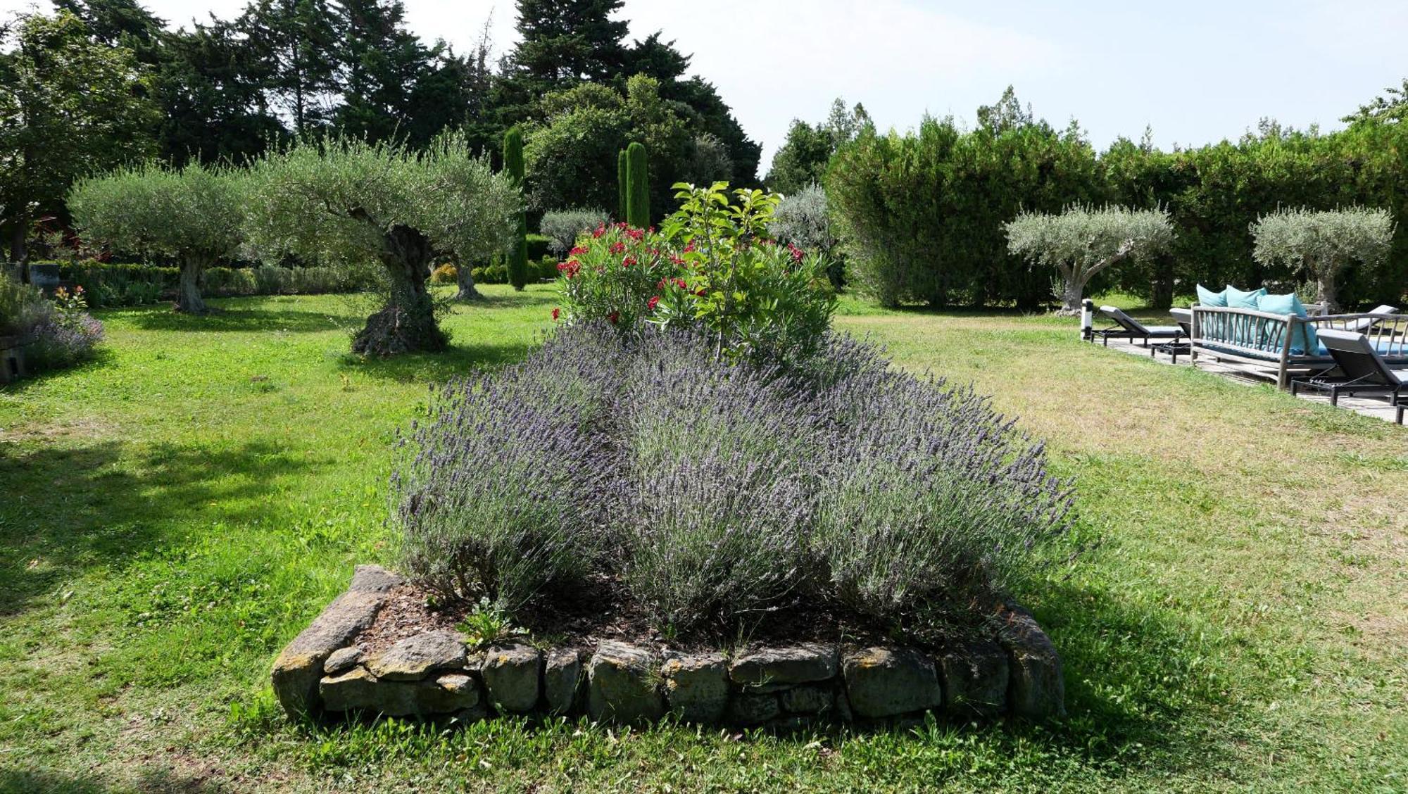 Typical Provencal Farm House Close To L'Isle Sur La Sorgue - 12 Persons Cavaillon Bagian luar foto