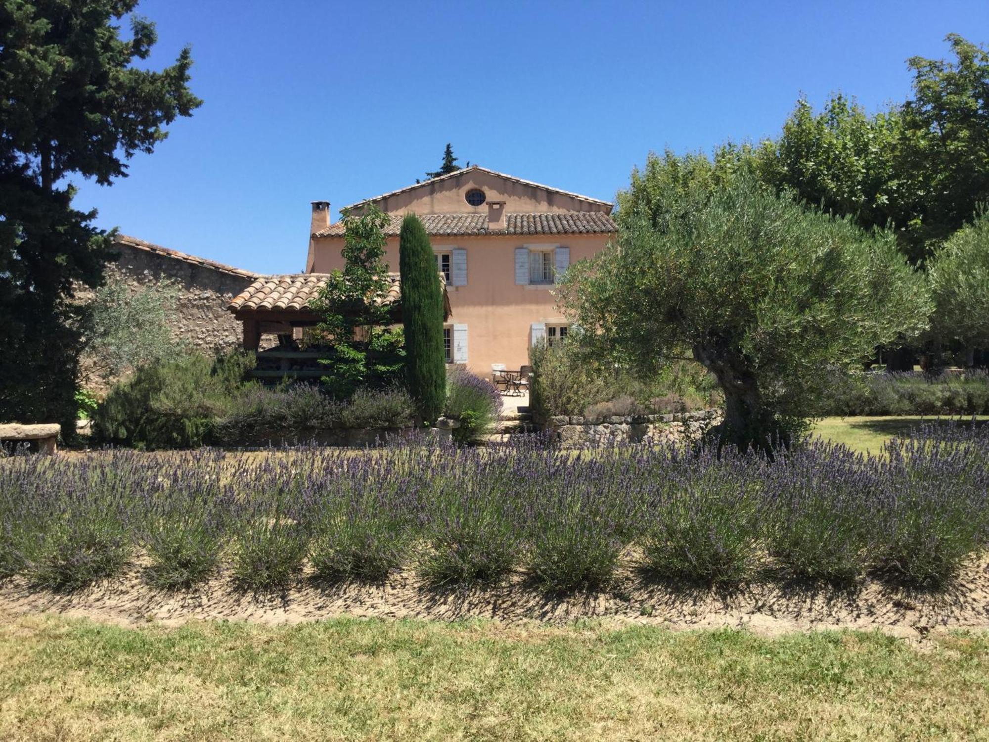 Typical Provencal Farm House Close To L'Isle Sur La Sorgue - 12 Persons Cavaillon Bagian luar foto