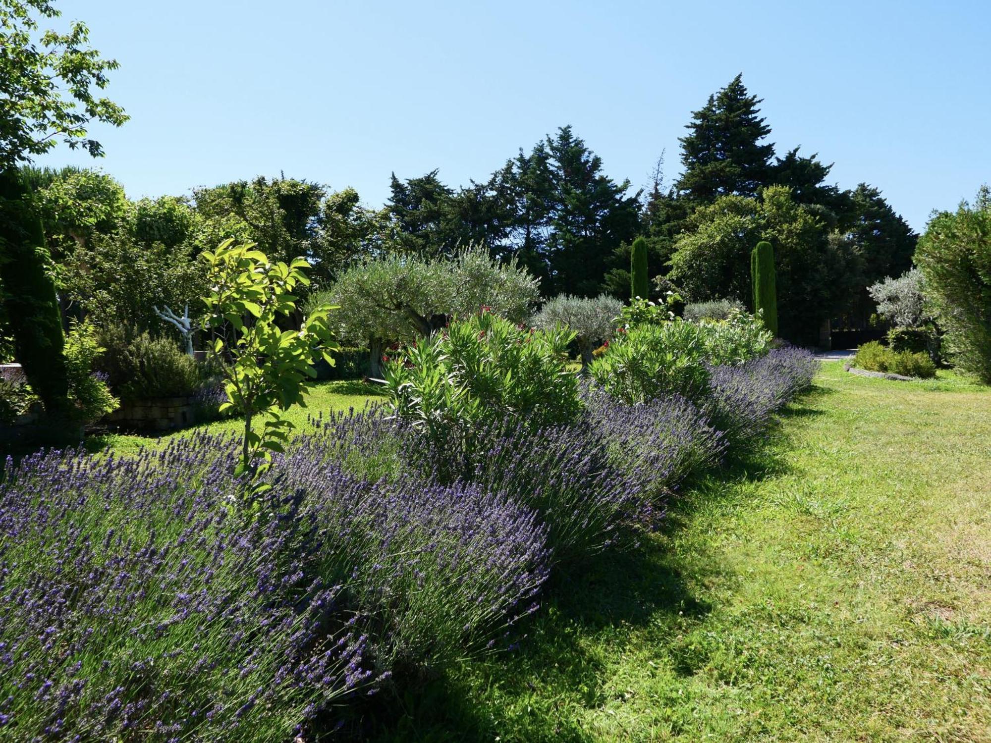 Typical Provencal Farm House Close To L'Isle Sur La Sorgue - 12 Persons Cavaillon Bagian luar foto