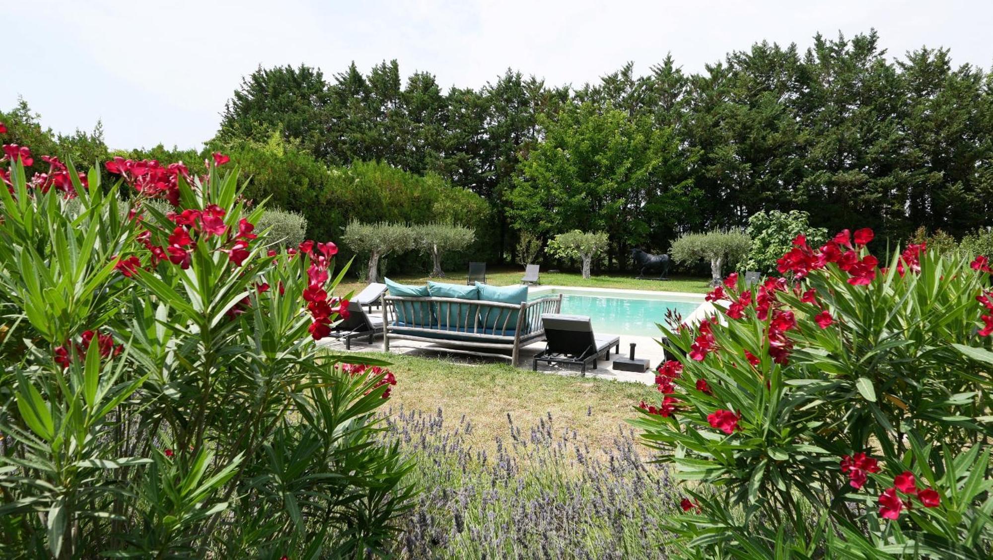 Typical Provencal Farm House Close To L'Isle Sur La Sorgue - 12 Persons Cavaillon Bagian luar foto