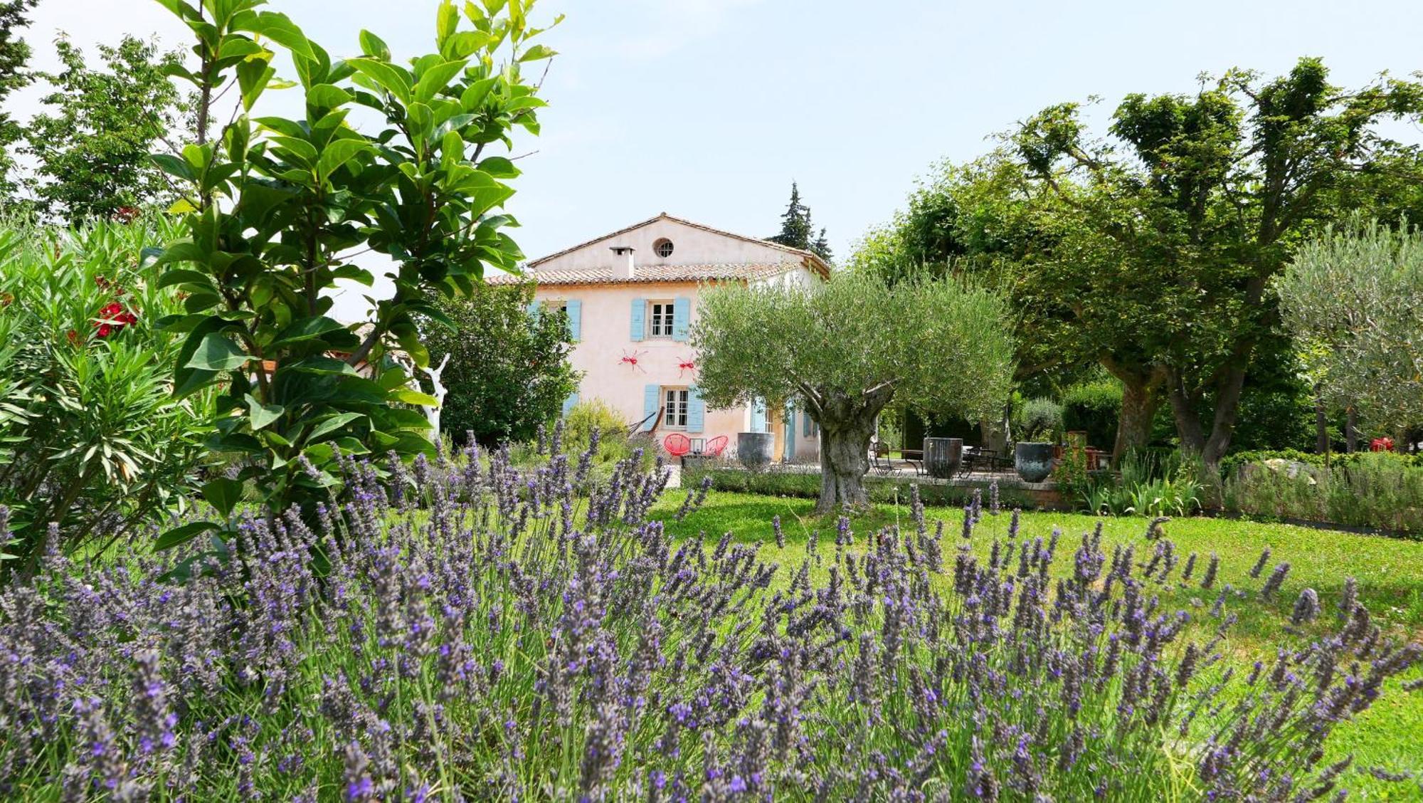 Typical Provencal Farm House Close To L'Isle Sur La Sorgue - 12 Persons Cavaillon Bagian luar foto
